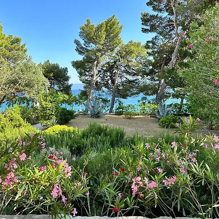 Sea House Villa